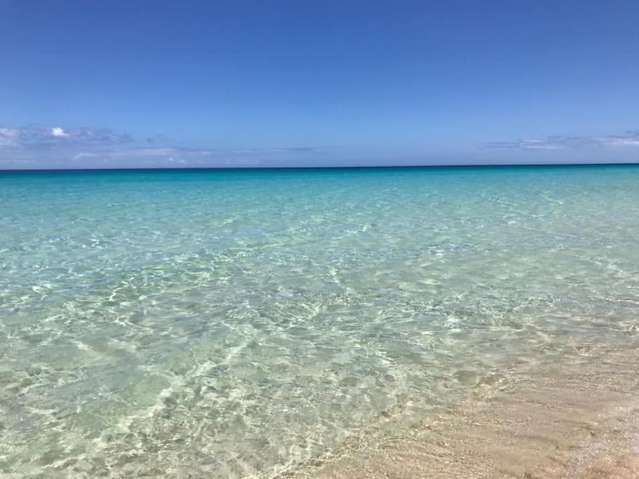 Chic&Surf Dunes View Lumineux Et Vue Superbe ! Corralejo Exterior foto